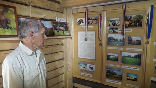 40 лет возрождению Вятской породы лошадей смотреть онлайн