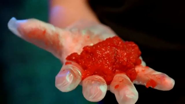 WILD! Science™ Zombie Blood and Guts Workshop смотреть онлайн