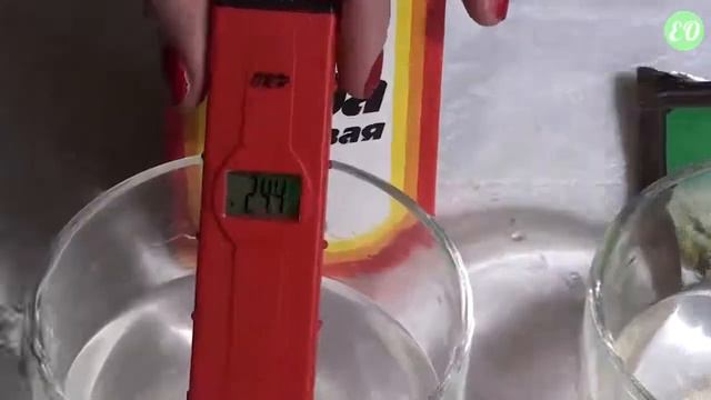 Сравнение Cоды и Корал Майн Coral Mine тест смотреть онлайн