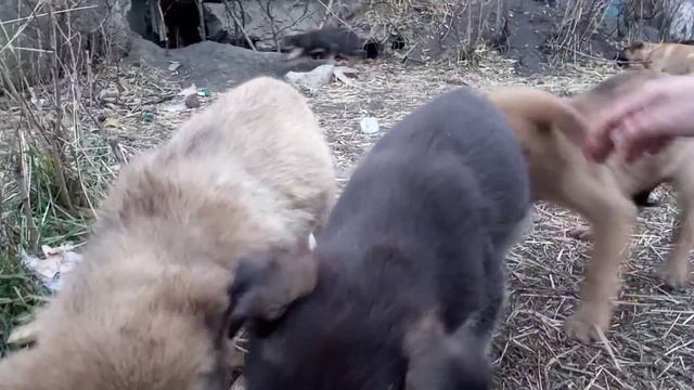 Забыл Малых загрузить... смотреть онлайн