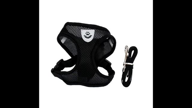 Творческие Проекты