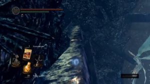 DARK SOULS™  REMASTERED НАЙТИ КУСОК СИНЕГО ТИТАНИТА