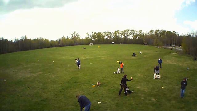 Дрончик на фризби, май 2017 смотреть онлайн