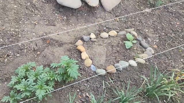 Работе нет конца. Рыбка на ужин. Дождались!!! Чужих 