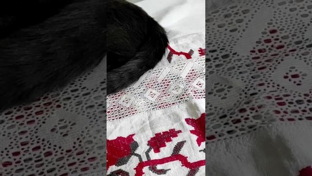 Старинные рушники смотреть онлайн