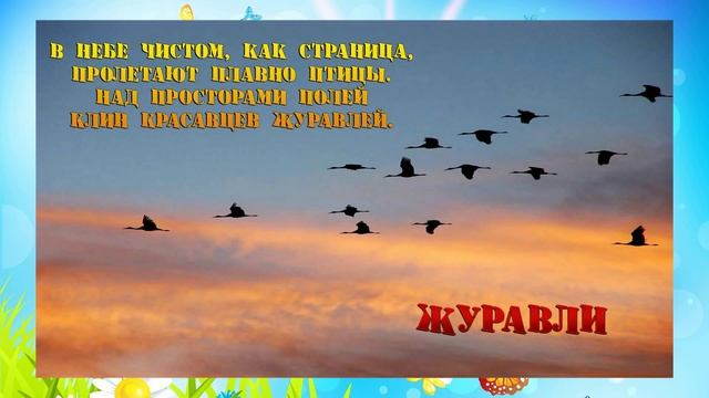 Презентация домашние и дикие птицы. Развивающее видео для детей смотреть онлайн