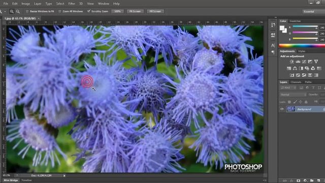 Photoshop Tutorial : การใช้เครื่องมือ Zoom Tool смотреть онлайн