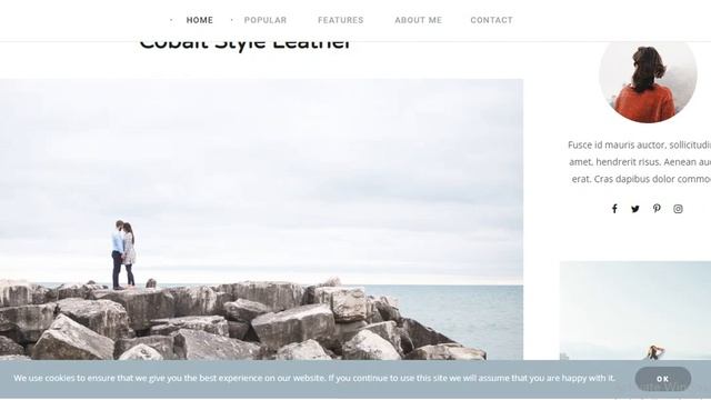 Rima Personal Blog WordPress Theme смотреть онлайн