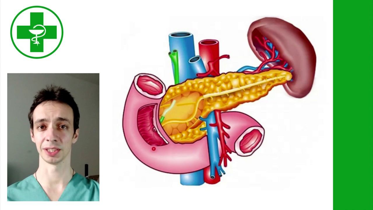 НЕДОСТАТОЧНОСТЬ ФЕРМЕНТОВ ПОДЖЕЛУДОЧНОЙ ЖЕЛЕЗЫ: причины и лечение. смотреть онлайн