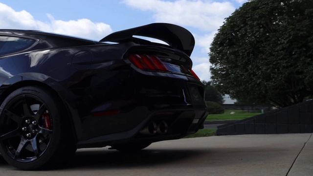 2019 Ford Mustang Shelby GT350R For Sale смотреть онлайн