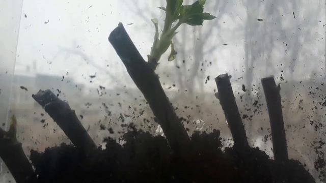 Эксперимент продолжается. смотреть онлайн
