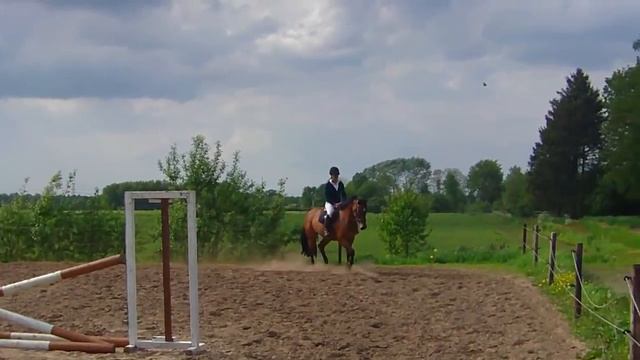 Uniflor смотреть онлайн