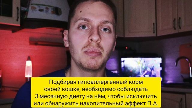 Пищевая аллергия у кошек! Почему кот чешется, облысела шерсть, опухли лапы и глаза? Как лечить? смотреть онлайн