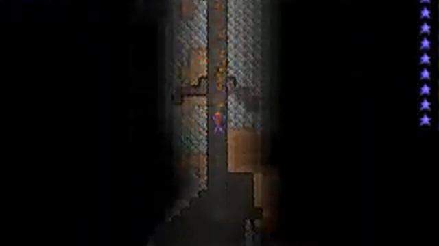 Newly Introduced Terraria Bug (or is it intentional) смотреть онлайн