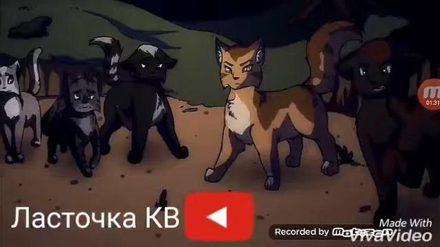 Коты воители - {клип}[ Объясни почему] смотреть онлайн