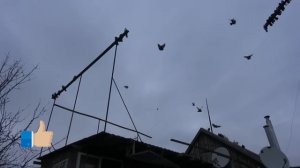 Херсон 24. 02. 2023. Обо всем.........