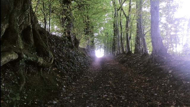 ASATO MA SAD GAYAMA (Feat AL Peal) смотреть онлайн