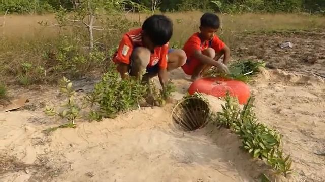 Survival Life - Two Brother Making Amazing Creative Trap to Catch Big Python смотреть онлайн