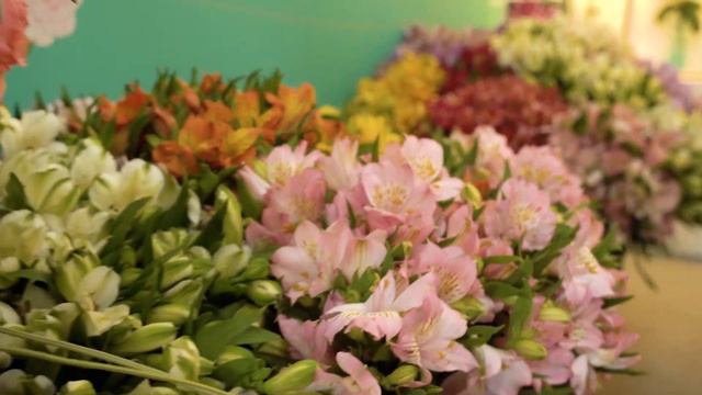 Darcey Flowers Attends IFTEX 2022 смотреть онлайн