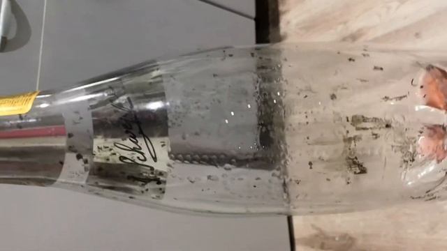 Попили компот, из клюквы которою купили в магазине. смотреть онлайн