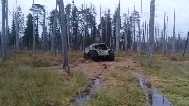 Пенёк не пускает ШЕРП. смотреть онлайн