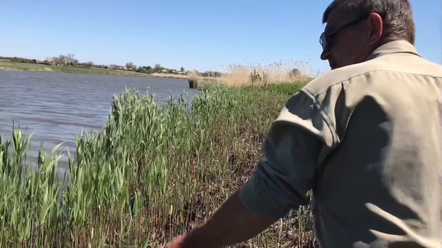 КРУПНЫЙ САЗАН на закидушку с макухой! Трофейная рыбалка 2020 ! смотреть онлайн