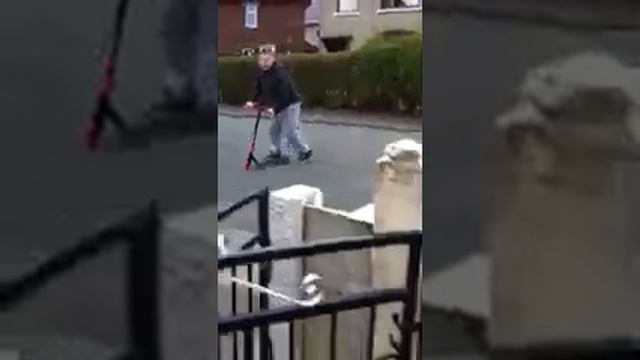 Pair of Pollocks смотреть онлайн