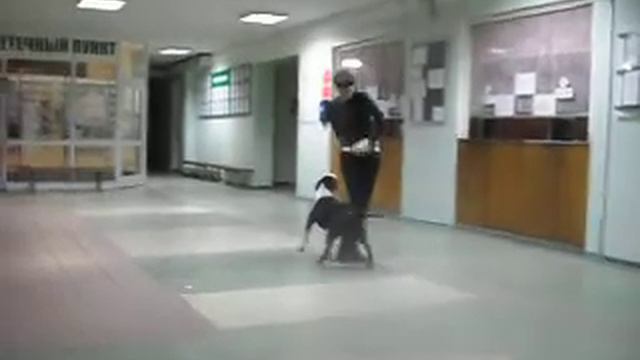 А Вам слабо? смотреть онлайн