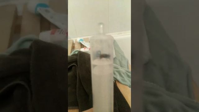 Раздавил муху шприце (мем)