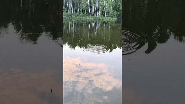 Озеро - РОДНИК. Рыбалка. смотреть онлайн