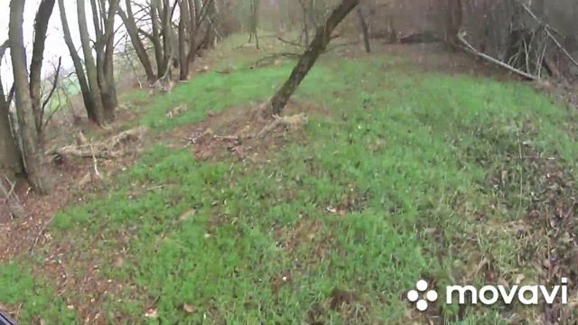 охота на шакала и зайца с бушуем смотреть онлайн