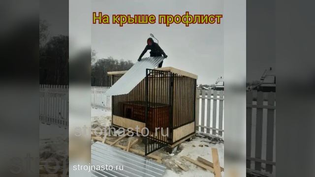 Вольер для Собаки с Будкой под ключ - strojnasto.ru - зимний дом для собаки - деревянный вольер смотреть онлайн