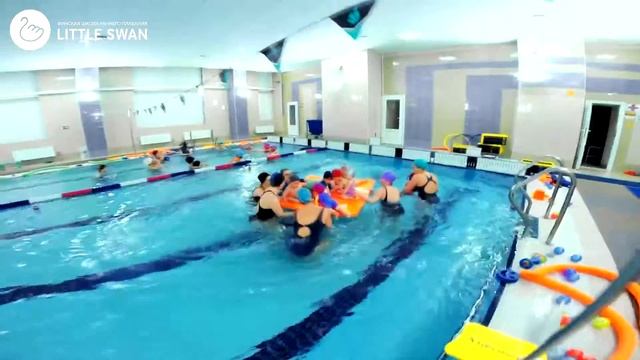 Финская школа раннего плавания Little Swan смотреть онлайн