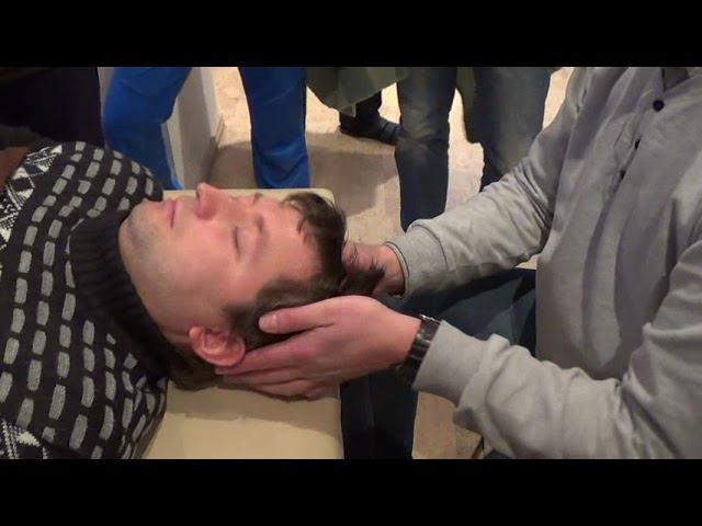 Семинар Краниосакральная терапия 3 ЧЕРЕПНО-МОЗГОВЫЕ НЕРВЫ КСТ3_52 смотреть онлайн