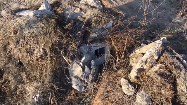 Делаем первый домик для бездомной кошки 17 декабря 2019 смотреть онлайн