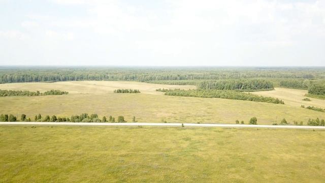 100 СОТОК ТЮМЕНСКИЕ БОРЫ. ТЮМЕНСКИЙ ГЕКТАР смотреть онлайн