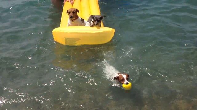 Трое в лодке (не считая хозяек) смотреть онлайн