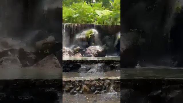 МУДРЫЕ СЛОВА ДО СЛЁЗ !!! смотреть онлайн