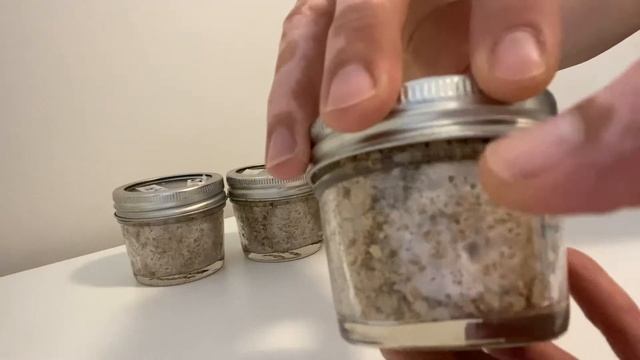 Inoculated brf jars starting to colonise смотреть онлайн