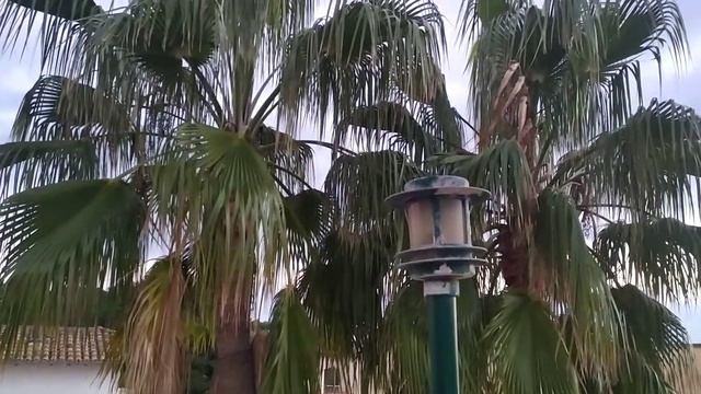 Пальма-де-Майорка,тур гид обзор панорама путеводитель экскурсия.Palma de Mallorca,review tour guide смотреть онлайн