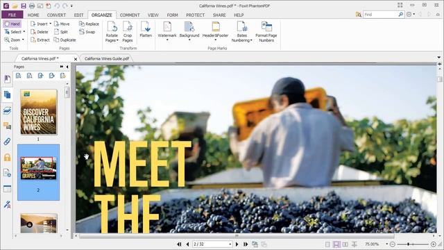 07. PhantomPDF Управление структурой PDF документа смотреть онлайн