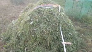 Ручная коса для травы Offner "две коровы" - честный отзыв