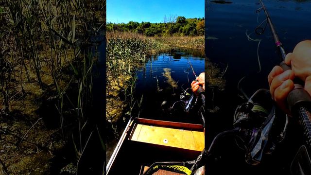 самый крутой заброс #shorts смотреть онлайн