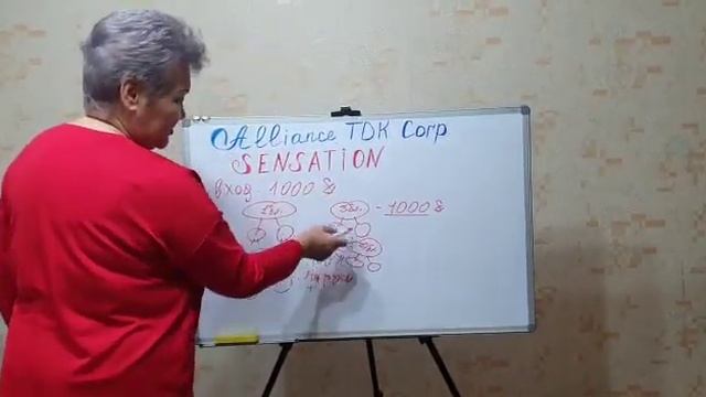 Маркетинг план программы "SENSATION " смотреть онлайн