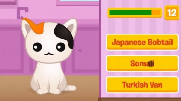 Guess The Kitty Game Walkthrough | This game is not for kids