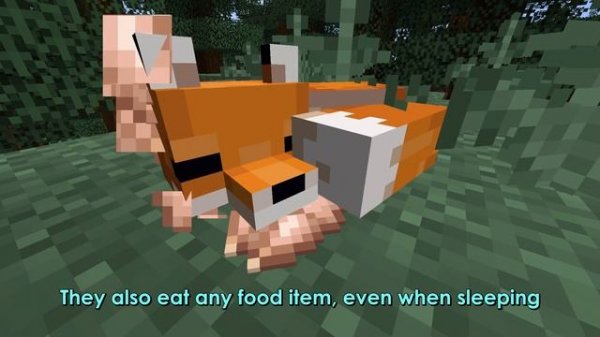 Minecraft 1.14 - Foxes | Where To Find, Hunting, Breeding, Arctic Fox Variant