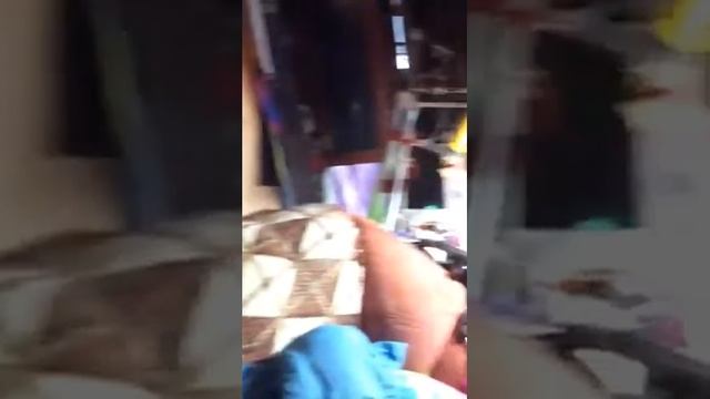 Неразлучные друзья крыса и кот! смотреть онлайн