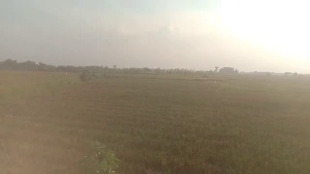 Mitsubishi Pajero Sport GLX Black Mobil Kesukaan Bu Puspa Nissan Terra смотреть онлайн