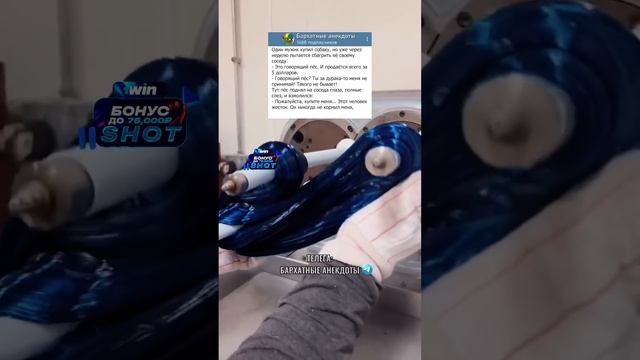 Анекдот про говорящую собаку? #анекдоты #юмор #приколы #смех смотреть онлайн