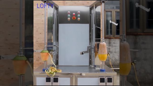 Commercial Pumpkin Melon Peeler Machine---Pumpkin Peeling Machine